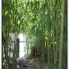 玻璃花坊-杉林溪旅遊景點