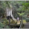 千古紅檜-杉林溪旅遊景點