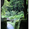 燕庵瀑布-杉林溪旅遊景點