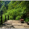 青龍瀑布-杉林溪旅遊景點
