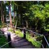 青龍瀑布-杉林溪旅遊景點