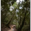 森林公園-杉林溪旅遊景點