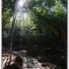 長源圳生態步道-小半天旅遊景點