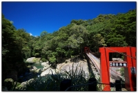 八八吊橋-杉林溪旅遊景點